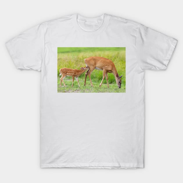 In one end...and out the udder - Deer T-Shirt by Jim Cumming